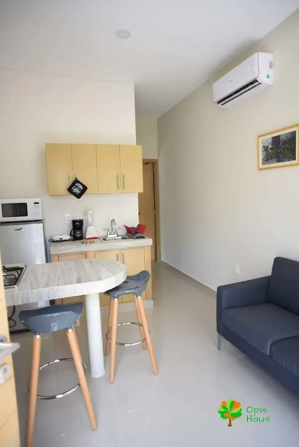 Opis Haus Apartment Playa del Carmen